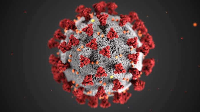 coronavirus COVID-19