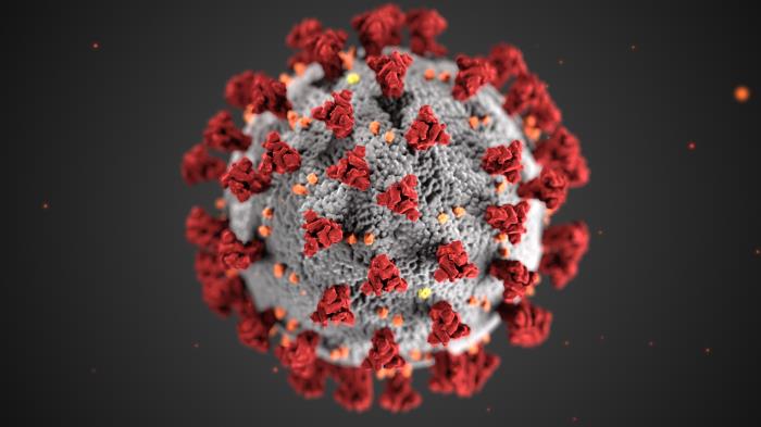 Coronavirus (COVID-19) information from IRRS and NEXUS-IBA