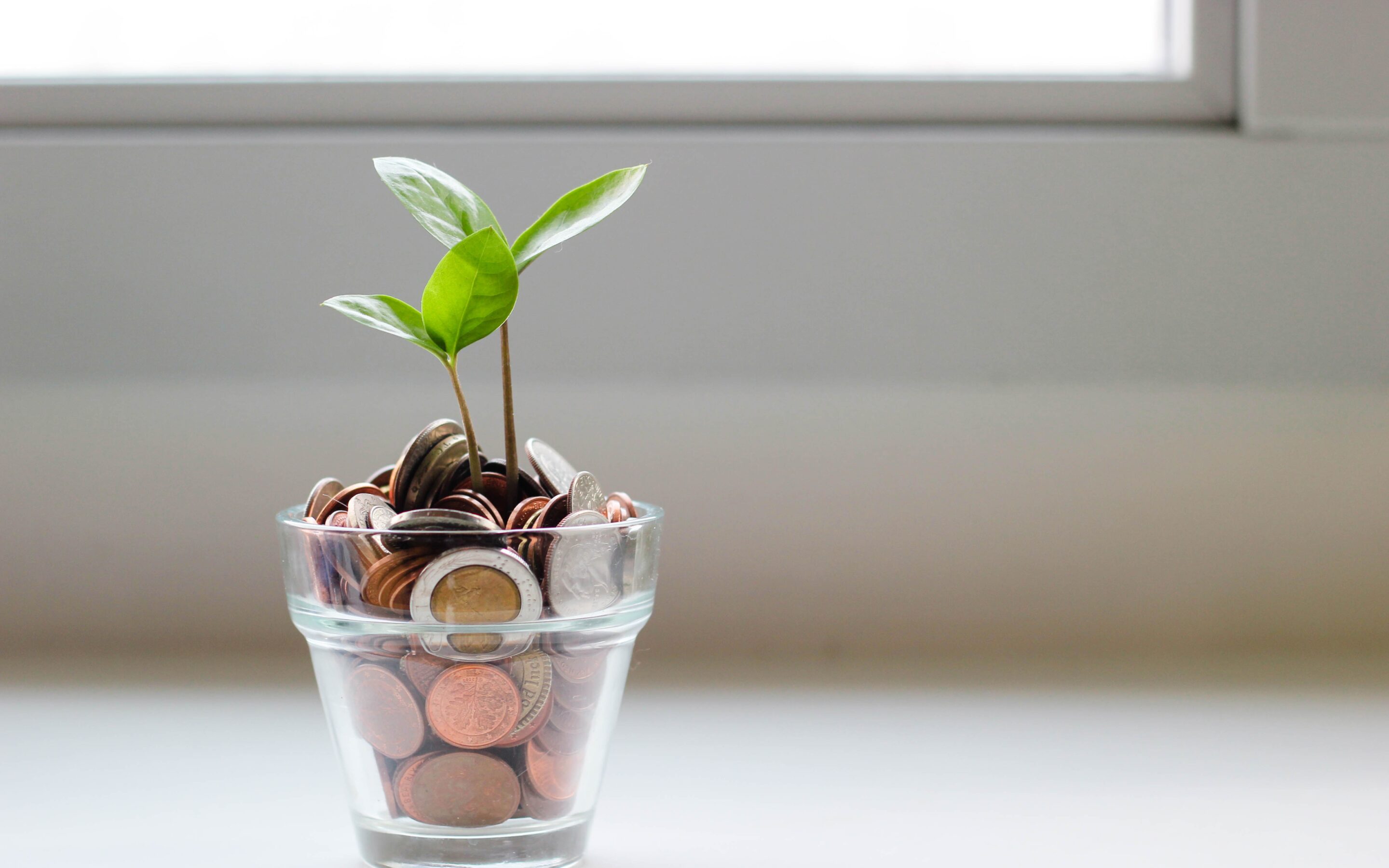 Secure and Impactful Giving: Your Guide to Supporting NEXUS-IBA’s Mission